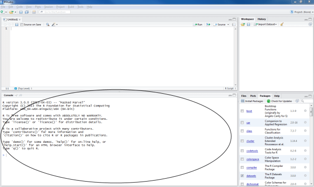 R-rstudio-1-3-console
