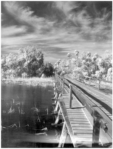 bridge-mystery-CC-Florida-Memory