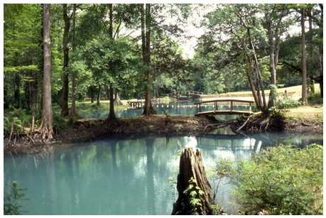 swimming-hole-CC-Florida-Memory
